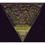 NEW JERSEY STATE POLICE PIN MINI BADGE PIN